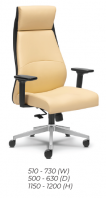 High Back Chair (E3181H)