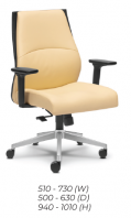 Low Back Chair (E3183H)