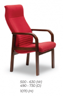 Visitor Chair (E3691H)