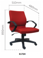Low Back Chair / Visitor Chair (E172H & E173S)