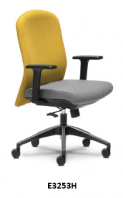 Low Back Chair (E3253H)