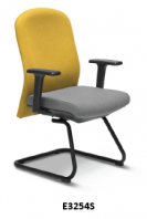 Visitor Chair (E3254S)
