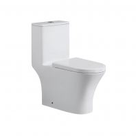 Mocha One Piece Water Closet