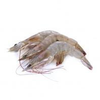 Hoso White Prawn