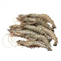 Tiger Prawn