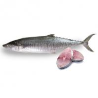 Tenggiri Fish Whole / Fillet