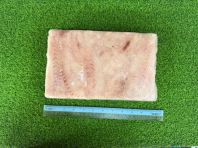 Yellow Tail Fillet Yellow Tail Fillet