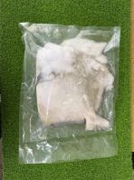 Chinese Pomfret Chinese Pomfret