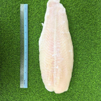 Dory Fillet Dory Fillet