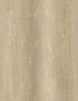 SCL65-101E