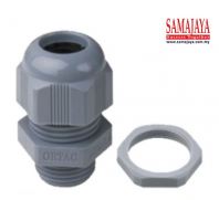 Height PG11 Cable Gland/ PVC Cable Gland/ PVC Gland/ Nylon Cable Gland/ Plastic Cable Gland (Grey)