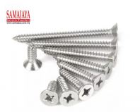 Toyo #6 x 2" Stainless Steel CSK Flat Head Self Tapping Screw