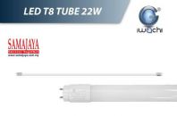 Iwachi T8 4ft 22W 6500k LED Tube (Cool Daylight)