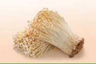 Enoki Mushroom (Cendawan Enoki)