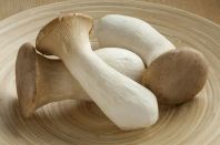 King Oyster Mushroom (Cendawan King Oyster)