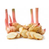 Lengkuas (Galangal)