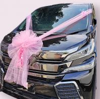 Romantic Bliss Wedding Car Deco Set