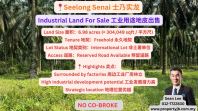 Seelong Senai Industrial Land For Sale ʿ��ʵ����ҵ��;��Ƥ����
