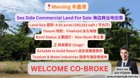 Mersing Sea Side Commercial Land For Sale ��ʢ�ۺ�����ҵ�س���