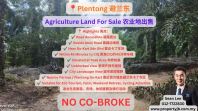 Plentong Agriculture Land For Sale ������ũҵ�س���