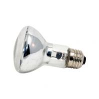 R20 100w 12v E27 Swimming Pool Bulb