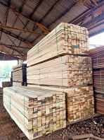 Damar Hitam (B) 2x3/2x4