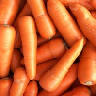 Carrots