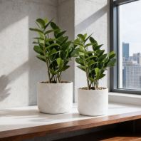 Small Fiberglass Flower Pots Malaysia PC1247-17172  Pasu Bunga Gentian Kaca Kecil Malaysia