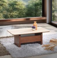 Coffee Table | Side Table Model : KT-E8693 (1100W X 600D MM)