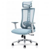 Office Executive Mesh Chair Model : KT-NTT235G (H/B)