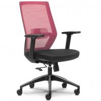 Simple Exquisite Executive Mesh Office Ergonomic Chair OFMEVT51762