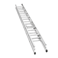 ION ECO Triple Extension Pole Ladder