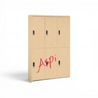 6 COMPARTMENT LOCKER