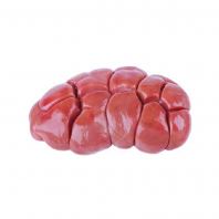 Veal Kidney