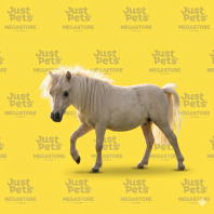 Falabella Horse