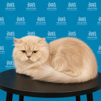 Persian