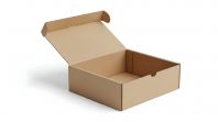 Die Cut Box