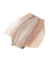 Ikejime Seabass Fillet