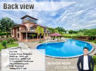 ����ׯ԰ �� �ݻ���������