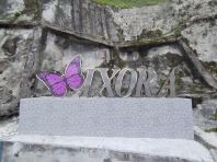 IXORA Stainless Steel LED Box-up Logo & Lettering