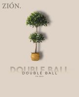 Double Ball