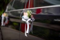 Weddings Transportation