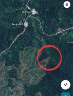 BUKIT PANTU, KAWANG,SARATOK ����԰����