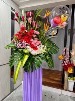 Opening Flower 141 Opening Flower 141