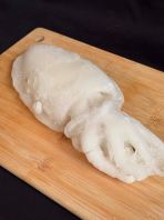 Whole Cuttlefish