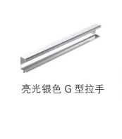 Glossy silver G-handle