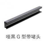 Matt black G type with plug