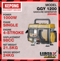 Euro power Euro X GGY1200 generator