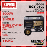 Euro power Euro X EGY9502 generator