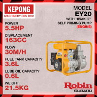 Robin engine EY20 2 inch water pump